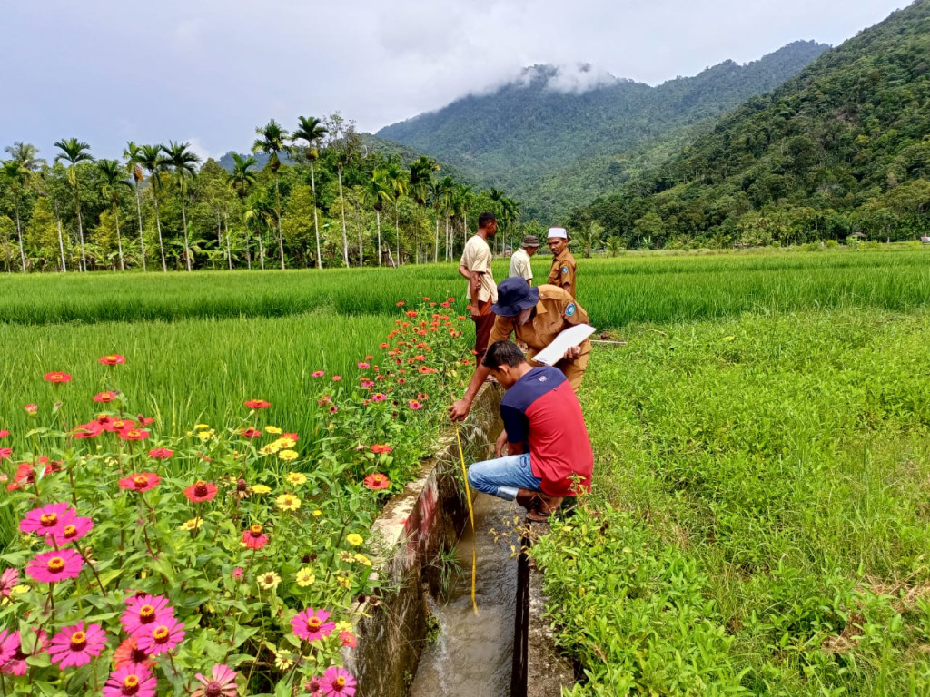 Foto Ini Memperlihatkan Pemandangan Sawah Yang Hijau dan Anggota Masyarakat Gampong Ladang Teungoh 