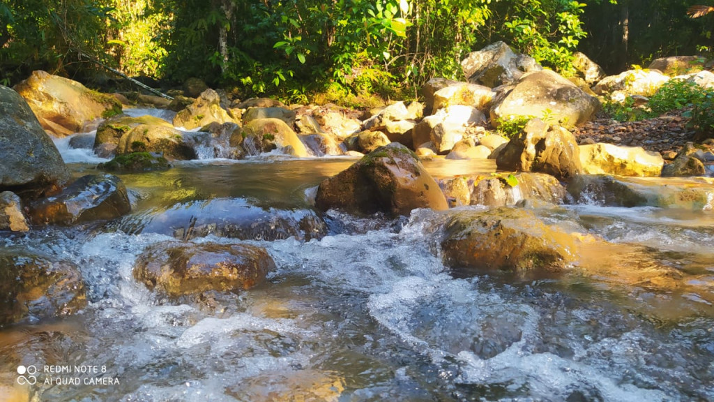 Foto Ini Memperlihatkan Kejernihan Dan Keaslian Sungai Gunung Saiboen Gampong Ladang Teungoh.